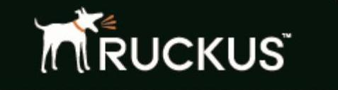 Ruckus Интернет магазин